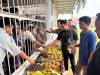 Lapas Muara Tebo Berbagi Kebahagiaan dengan Warga Binaan
